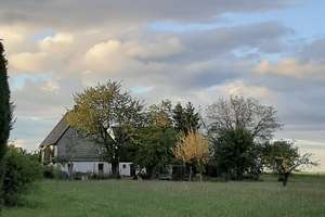 Ehemaliges Bauernhaus mit Scheune und schönem alten Bauerngarten – Die vollständige Adresse der Immobilie erhältst du vom Anbieter., 9603 Großschirma – Vorschaubild 6