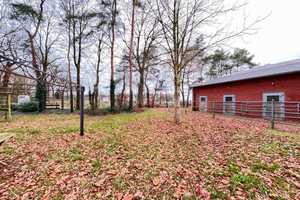 "Idyllischer Resthof in Alleinlage: Tolles Anwesen mit Hofladen, Reitplatz! – Emsland (Kreis) – Vorschaubild 9
