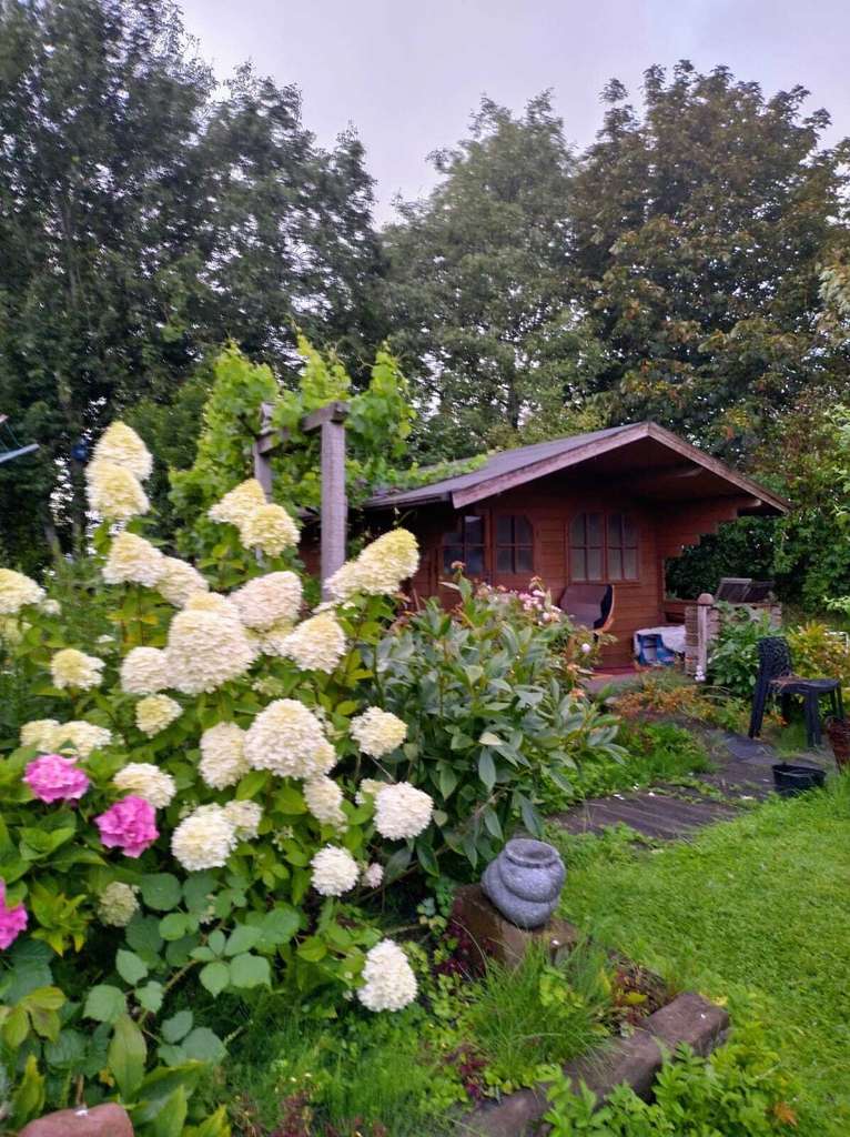 Immobilie in Welt - Reetlandhaus mit Weitblick: Nachhaltiges Idyll (A+) auf 3443 m² nahe SPO - Bild 4
