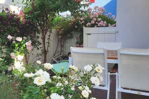 Property thumbnail 17