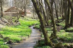 Bayern, Oberpfalz, nahe Zell - Wohnhaus mit Bach, Schwimmteich und Offenstall für Pferde – Die vollständige Adresse der Immobilie erhältst du vom Anbieter., 93199 Zell – Vorschaubild 11