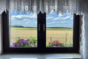 Feldrandlage: 3-Zimmer-Wohnhaus mit Keller, Garten und Garage – Die vollständige Adresse der Immobilie erhältst du vom Anbieter., 38446 Barnstorf, Wolfsburg – Vorschaubild 20