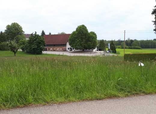 Immobilien Kitzbhel Von Cum Laude Immobilia