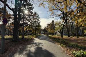 Wohnen im Park – 3-Zimmer-Wohnung mit Balkon und EBK