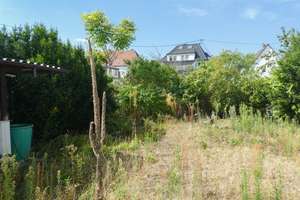EFH mit großem Garten & Garage – Potenzial zum 2-FH – 67067 Rheingönheim, Ludwigshafen am Rhein – Vorschaubild 25