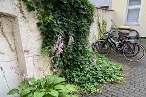 GEMÜTLICHE 3 RAUM WOHNUNG MIT EINBAUKÜCHE – Halberstädter Straße 154, 39112 Sudenburg, Magdeburg – Vorschaubild 16