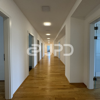 JPD - Büroflächen am Maximiliansplatz 