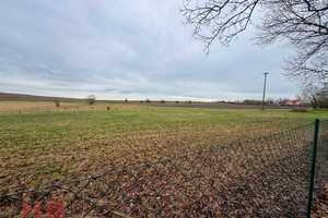 Vierseitenhof -  Falkenhagen in der Uckermark mit der Option auf zusätzlichen 5,6 Hektar. – Uckermark (Kreis) – Vorschaubild 11