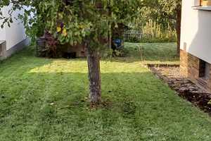 Großes EFH mit ELW und schönem Garten – Amberg-Sulzbach (Kreis) – Vorschaubild 10
