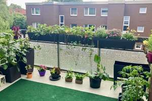 Property thumbnail 6