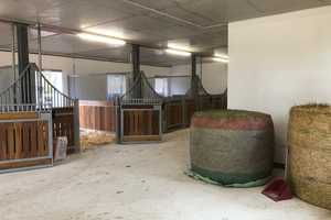 Exklusives Objekt für Pferdeliebhaber oder Hobbybetriebsstätte mit Wohnhaus im DG = in ruhiger Lage – Up´n Barg 10b, 22926 Stormarn (Kreis) – Vorschaubild 14