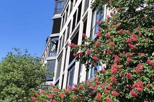 Nachmieter für eine Hochwertig moderne, helle Wohnung im Stadtzentrum gesucht – Schillerstrasse 41, 80336 Ludwigsvorstadt-Kliniken, München – Vorschaubild 2