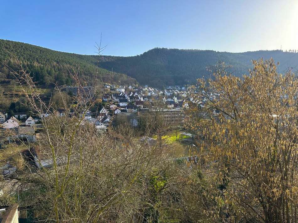 Ausblick