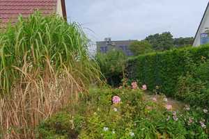 Gepflegtes Einfamilienhaus im Fischerdorf Freest – Ostvorpommern (Kreis) – Vorschaubild 7