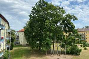 Wunderschöne sanierte 2-Zimmerwohnung im Herzen von Weißensee ab sofort – Gäblerstraße 108, 13086 Berlin – Vorschaubild 1