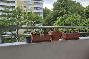 3 zimmer in Forstenrieder Allee 