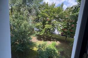 2,5-Zi.-ETW mit Süd-Balkon in ruhiger, grüner Lage - Magdeburg-Stadtfeld Ost – Wilhem-Klees-Straße 18e, 39108 Stadtfeld Ost, Magdeburg – Vorschaubild 8