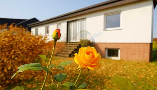 Bild von ... HERBSTROSE ... RESERVIERT