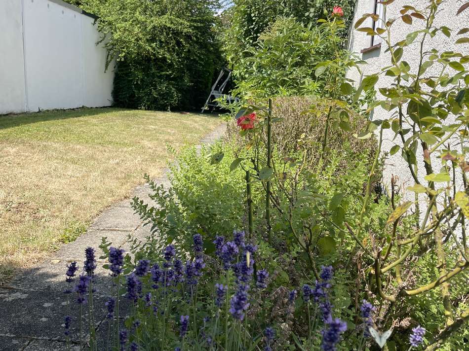 Garten Südseite 2