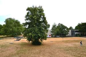 Einziehen oder vermieten. Fertig. Eingerichtete Eigentumswohnung mit Aufzug und /Rollstuhlrampe – Die vollständige Adresse der Immobilie erhältst du vom Anbieter., 47198 Hochheide, Duisburg – Vorschaubild 12
