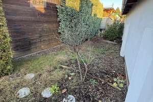 Attraktive Doppelhaushälfte Bj. 94 mit Keller, Garten TOP – Die vollständige Adresse der Immobilie erhältst du vom Anbieter., 6774 Muldenstein – Vorschaubild 17