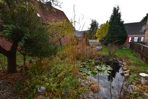 Einfamilienhaus mit Scheune in Schköna zu verkaufen! Ab mtl. 328,51 EUR Rate! – Hauptstraße 49, 6773 Wittenberg (Kreis) – Vorschaubild 49
