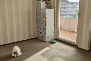 Sonnig, renoviert, 2,5 Z-Wohnung mit Loggia  ! Provisionsfrei
mit Einbauküche, Lift,Fahrradkeller – Unstrutstraße 2, 38120 Braunschweig – Vorschaubild 10