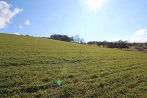 Gepflegtes EFH in ruhiger, idyllischer Dorflage mitten im Bäderdreieck – Passau (Kreis) – Vorschaubild 5