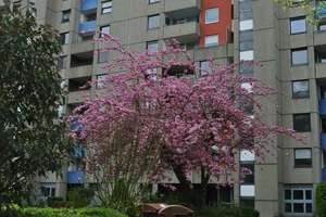 Ruhige Grünlage! Barrierefrei! 88 qm, 3-4 Zimmer, 2 Balkone, Gäste-WC, Garage – Berliner Straße 15, 40880 West, Ratingen – Vorschaubild 4