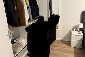 3 Zimmer Wohnung mit Balkon zu vermieten  – Mammutring 29, 38226 Lebenstedt, Salzgitter – Vorschaubild 3