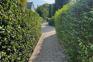 Idyllisch wohnen in Reutin – Die vollständige Adresse der Immobilie erhältst du vom Anbieter., 88131 Lindau (Bodensee) – Vorschaubild 9