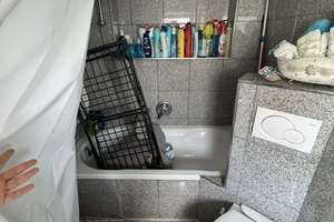 Stilvoll modernisiert: 3-Zimmer-Wohnung in Stuttgart – Zabergäustraße 100, 70435 Zuffenhausen-Frauensteg, Stuttgart – Vorschaubild 8