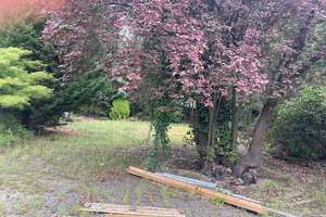 Freistehendes Haus mit ca. 200 m² und großem Garten – ideal für Kita oder Kinderprojekte – 12305 Lichtenrade, Berlin – Vorschaubild 18
