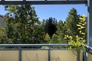 KNIPFER`S IMMOBILIENSCHÄTZE - Gepflegte 3 ZKB mit Südbalkon in Pasing zum Kauf