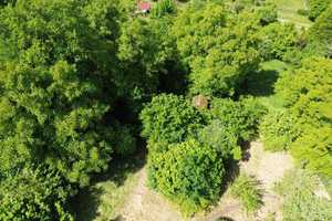 Einfamilienhaus in einzigartiger Wohnlage mit Fernblick und 1.292 m² Grundstück – Tübingen (Kreis) – Vorschaubild 26
