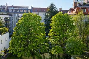 Maxvorstadt-Bestlage am Josephsplatz: Sonnige 3-Zi.-Whg. mit Balkon in absolut ruhiger Innenhoflage – Hiltenspergerstr. 11, 80798 Josephsplatz, München – Vorschaubild 2