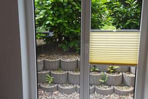 2 Zimmerwohnung mit besonderer Aufteilung im Zentrum von Jöllenbeck – Die vollständige Adresse der Immobilie erhältst du vom Anbieter., 33739 Jöllenbeck, Bielefeld – Vorschaubild 4