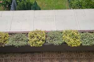 Schönes Reihenhaus m. Garten in ruhiger Wohnlage v. Diefflen – Saarlouis (Kreis) – Vorschaubild 13
