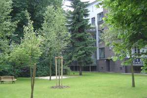 Top sanierte, charmante, helle 2-Zi.- Whg, - 52,60 m² -, Bad, im Denkmal Ensemble – Die vollständige Adresse der Immobilie erhältst du vom Anbieter., 30655 List, Hannover – Vorschaubild 17