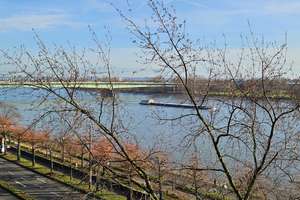 Property thumbnail 39