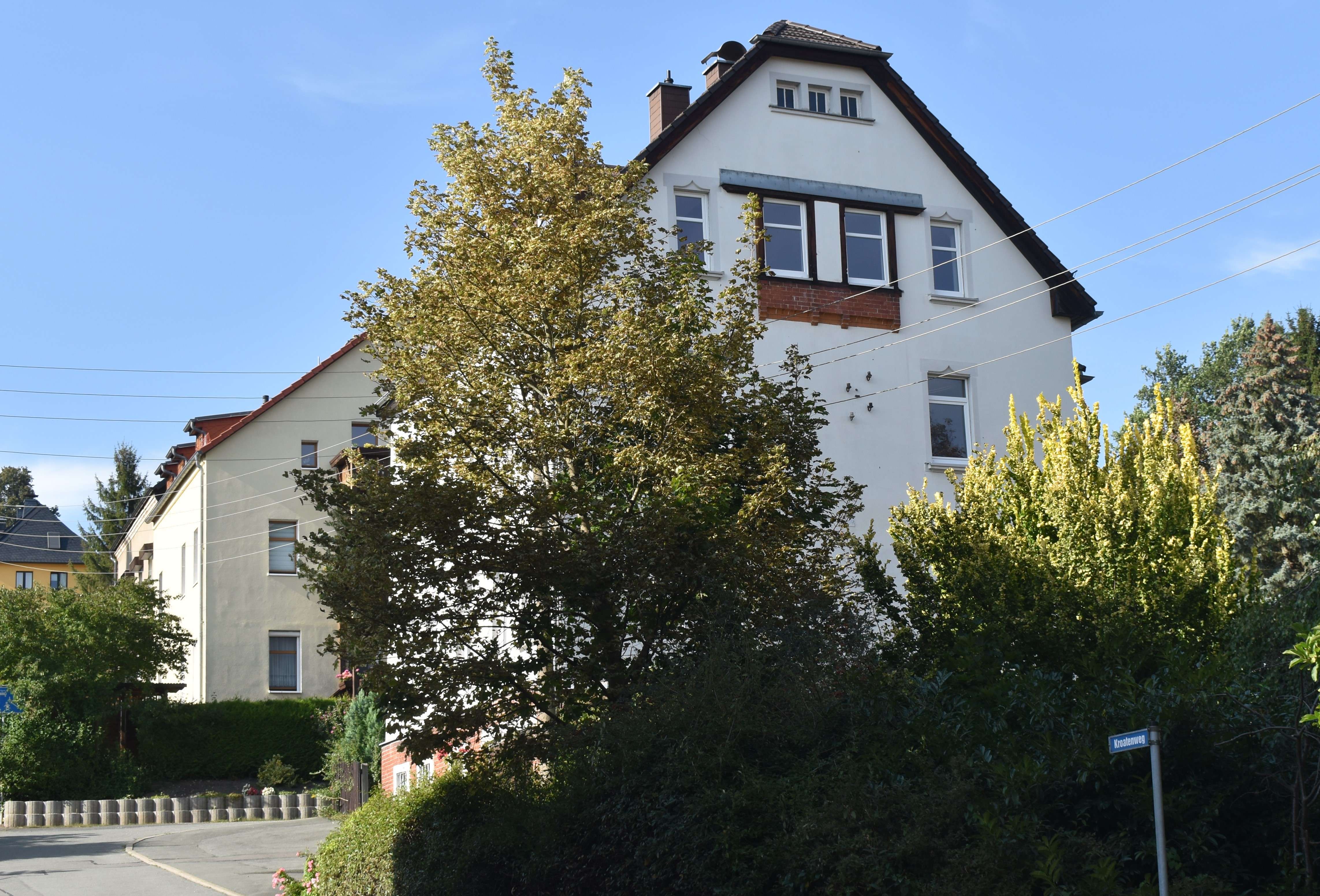 Großes Mehrgenerationenhaus oder Kapitalanlage!, Zwickau Kreis – Bild 3