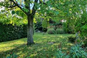 Arbeiten und Wohnen in Villa mit Wohlfühl-Garten + Schwimmbad – Miltenberg (Kreis) – Vorschaubild 83