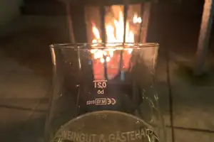 Gepflegtes Einfamilienhaus mit schönem Grundstück – Chemnitz – Vorschaubild 11