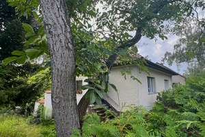 Familientraum mit großem Garten - bezugsfrei ab sofort – Die vollständige Adresse der Immobilie erhältst du vom Anbieter., 12349 Buckow, Berlin – Vorschaubild 8