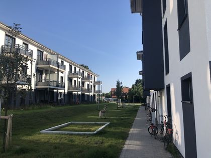 4 - 4,5 Zimmer Wohnung zur Miete in Bernau bei Berlin