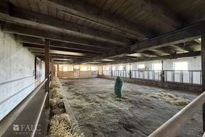 ***Mehrfamilienhaus & Exklusiver Pferdehof mit Reitanlage auf ca 21.000 m² Grundstück*** – Die vollständige Adresse der Immobilie erhältst du vom Anbieter., 37574 Einbeck – Vorschaubild 17