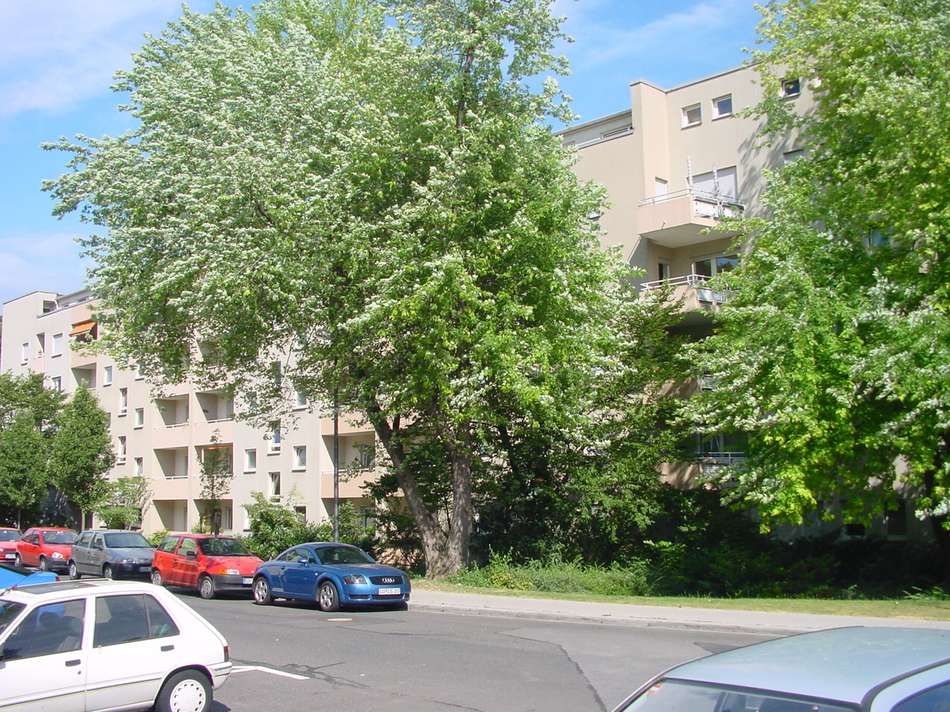 Georg-Herwegh Bild 2