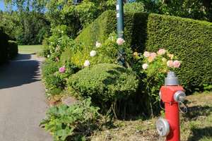 Villa mit 255qm und ELW mit 3966qm Garten in Ortsrandlage – Die vollständige Adresse der Immobilie erhältst du vom Anbieter., 72178 Waldachtal – Vorschaubild 6
