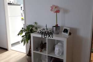 2 Zimmer Wohnung (Single)in Mönchengladbach Grenzlandstadion – Cecilienstrase 3, 41236 Grenzland-Stadion, Mönchengladbach – Vorschaubild 8