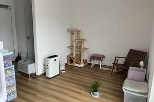 Moderne 2-Zimmer-Neubauwohnung mit Terrasse/Garten in Nürnberg (90441) – ab 10.08. verfügbar – Ambergerstraße 47, 90441 Hohe Marter, Nürnberg – Vorschaubild 3